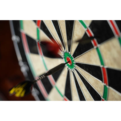 D&B Dart Board